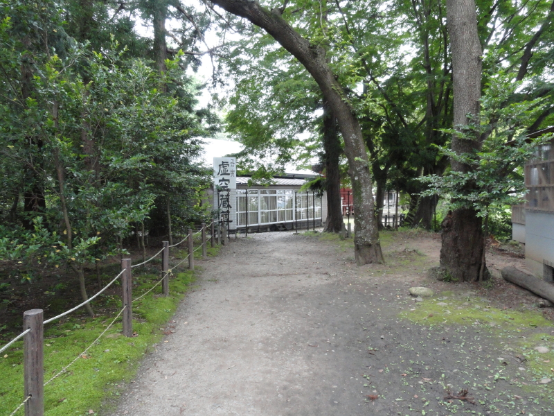 img0029.jpg