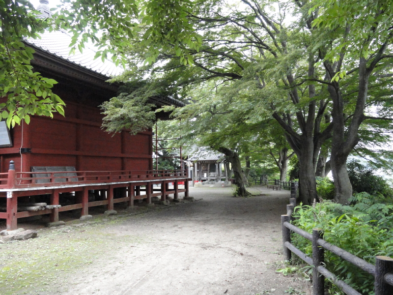 img0031.jpg
