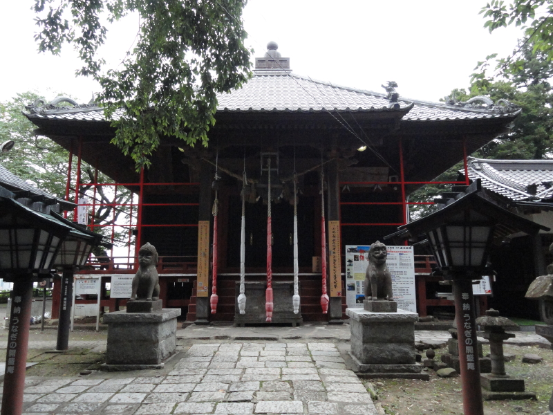 img0050.jpg