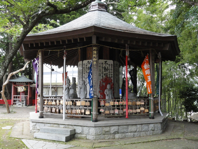 img0051.jpg