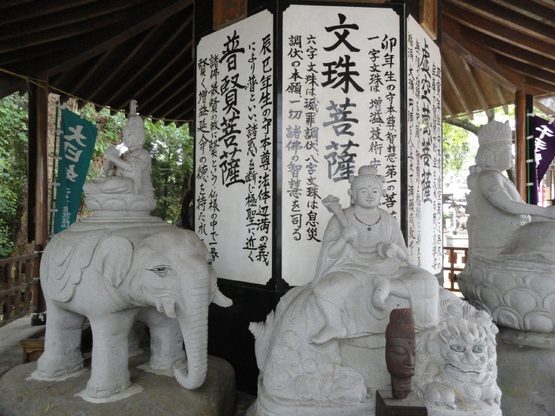 img0054.jpg