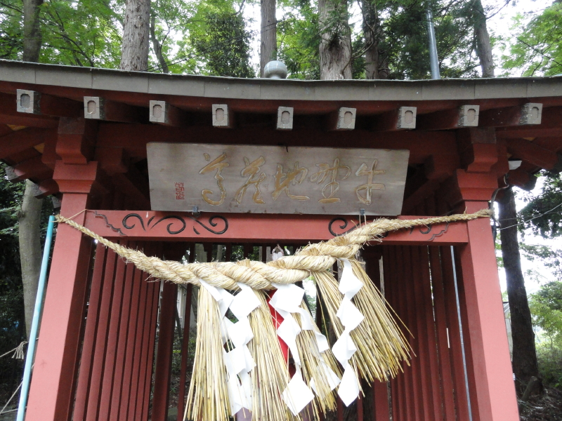 img0056.jpg