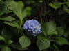img0002.jpg