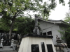 img0009.jpg