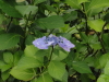img0019.jpg