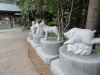 img0045.jpg