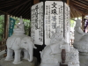 img0054.jpg