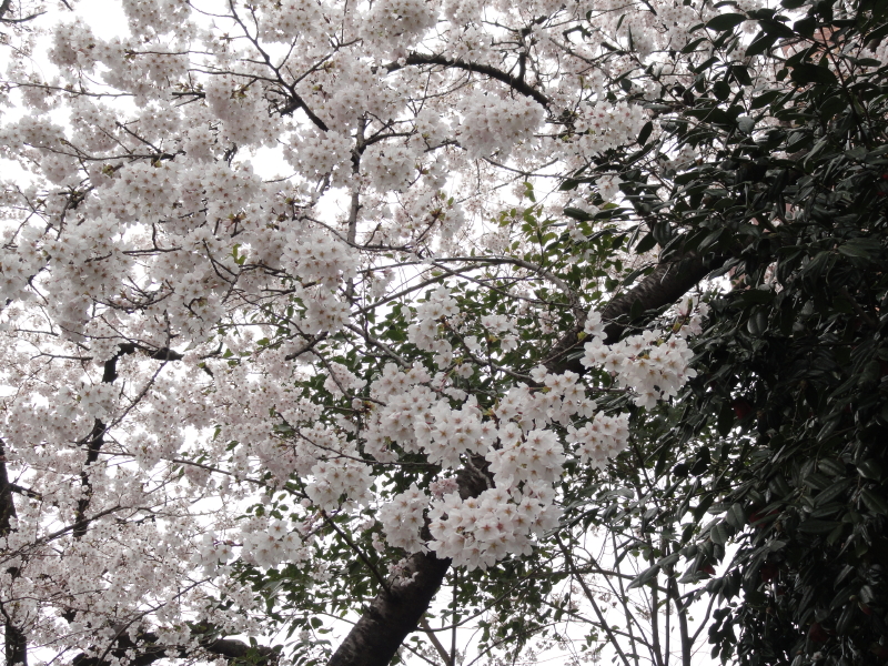 img0018.jpg