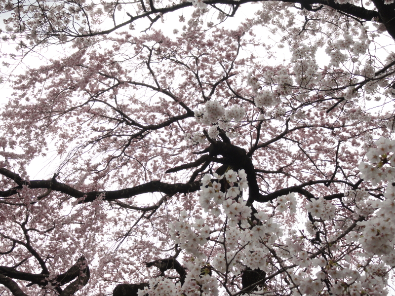 img0020.jpg