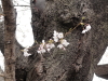 img0011.jpg