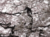 img0019.jpg