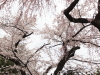 img0024.jpg