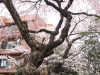 img0027.jpg