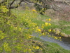 img0028.jpg