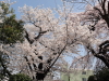 img0005.jpg