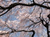 img0027.jpg