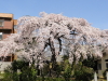 img0030.jpg