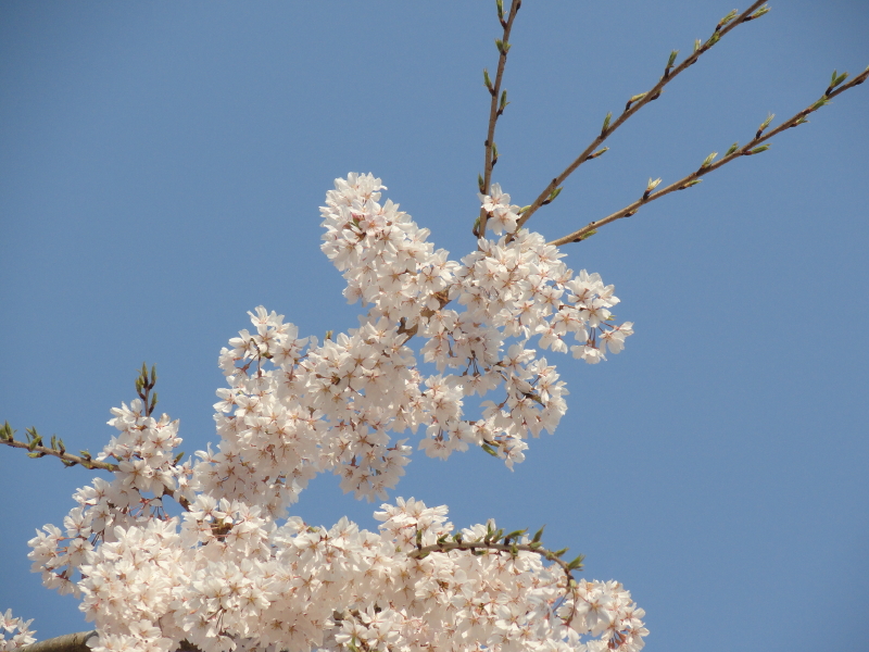 img0038.jpg
