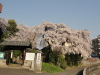 img0001.jpg