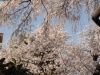 img0005.jpg