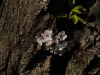 img0016.jpg