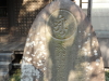 img0031.jpg