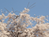 img0037.jpg