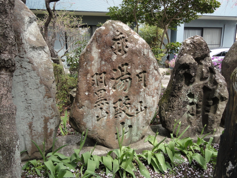 img0019.jpg