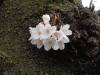 img0009.jpg
