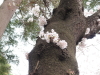 img0010.jpg