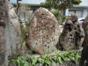 img0019.jpg