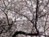 img0021.jpg