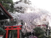 img0000.jpg