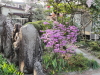 img0003.jpg