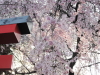 img0018.jpg