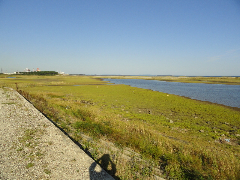 img0015.jpg