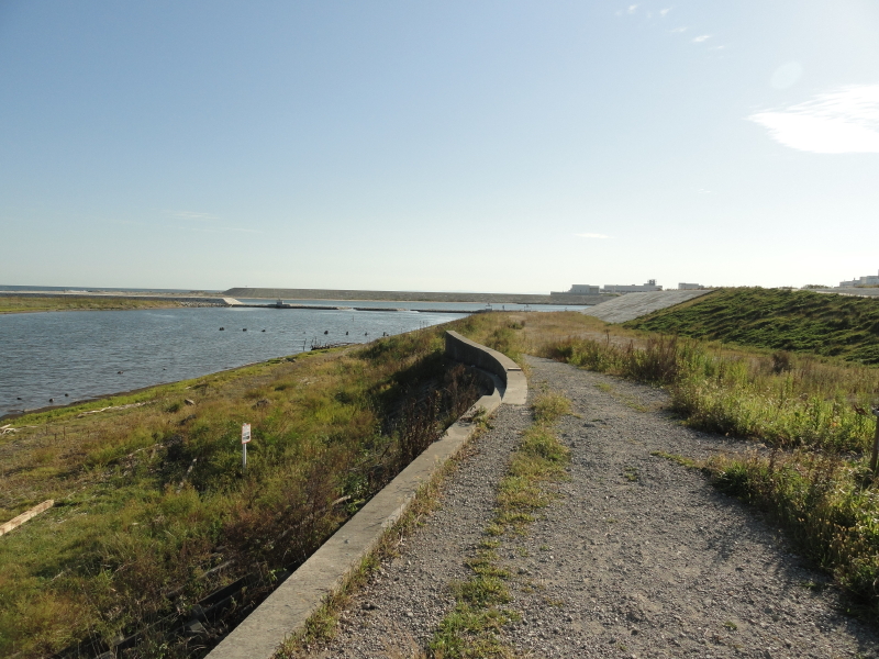 img0018.jpg