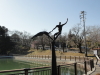 img0001.jpg