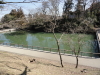 img0004.jpg