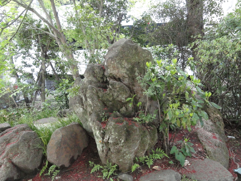 img0016.jpg
