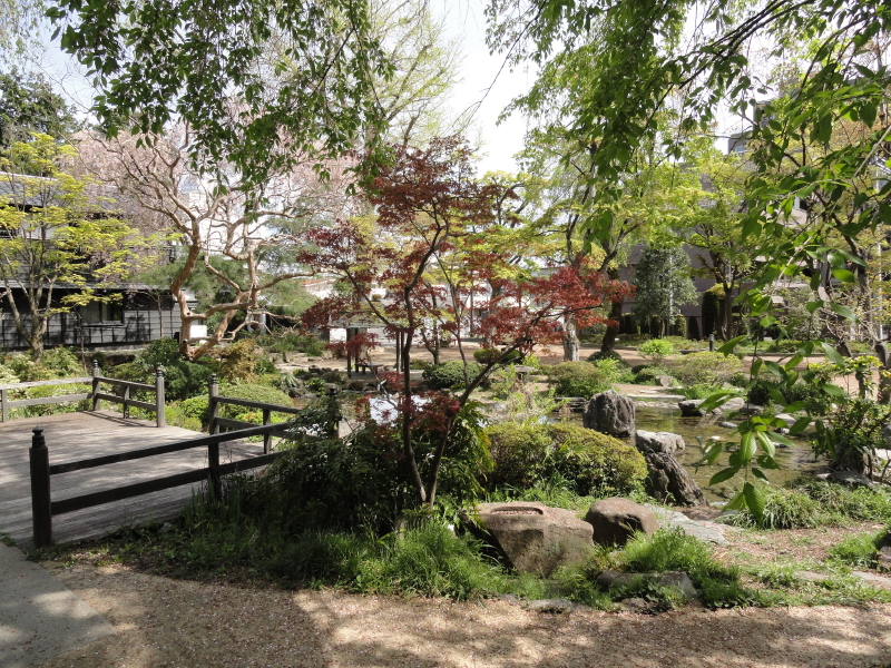img0019.jpg