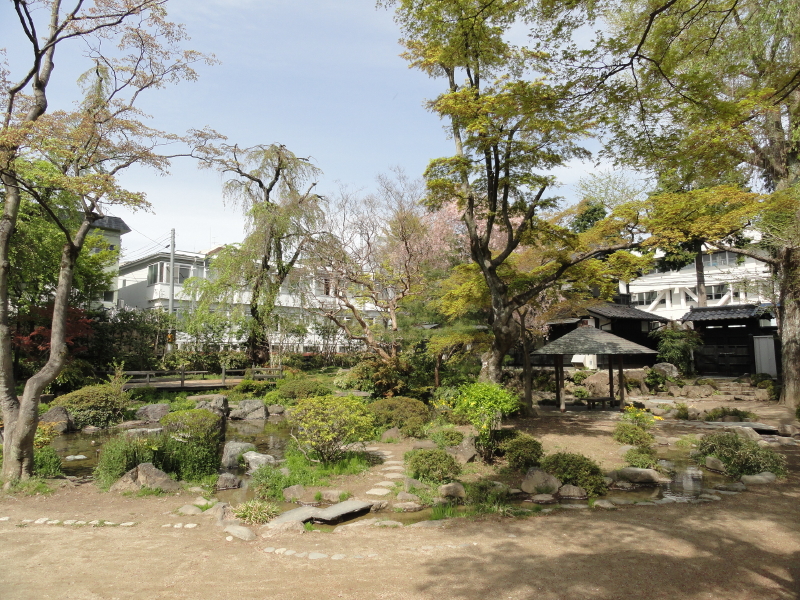 img0030.jpg