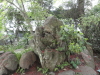 img0016.jpg