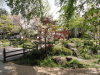 img0019.jpg
