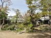 img0030.jpg