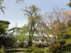 img0033.jpg