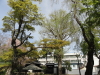 img0035.jpg