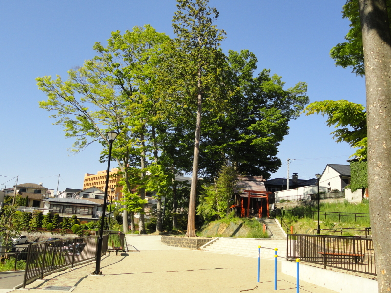 img0009.jpg