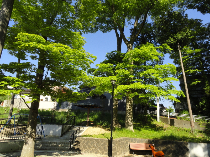 img0012.jpg