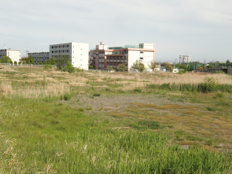 img0011.jpg